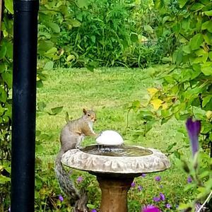 Meet your Posher, Colleen